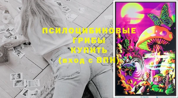 гидропоника Нязепетровск