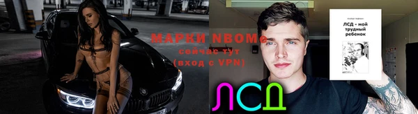 гидропоника Нязепетровск