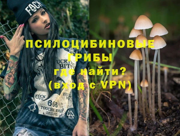 гидропоника Нязепетровск
