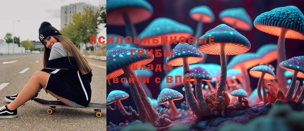 гидропоника Нязепетровск