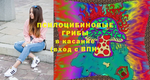 мдпв Нягань